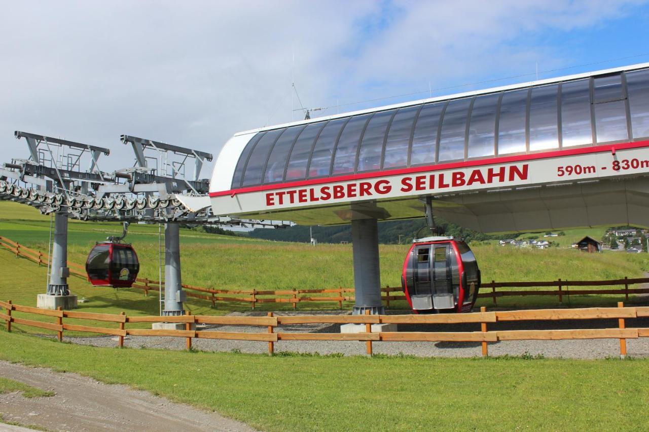 Ferienwohnung Mohnwiese Und Blumenwiese Willingen  Exterior foto